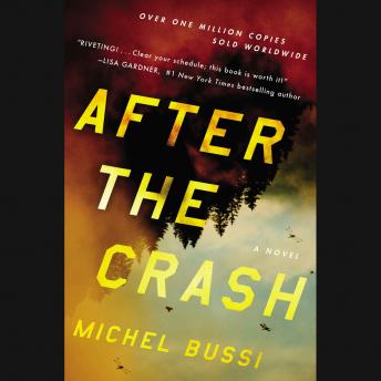After the Crash: A Novel