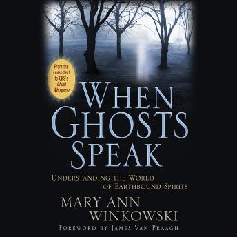 When Ghosts Speak: Understanding the World of Earthbound Spirits, Audio book by Mary Ann Winkowski
