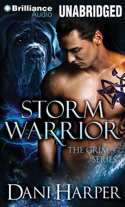 Download Storm Warrior by Dani Harper