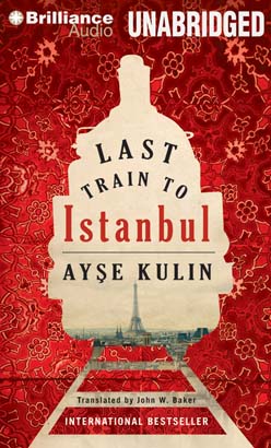Last Train to Istanbul: A Novel