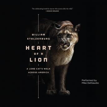 heart of a lion by william stolzenburg