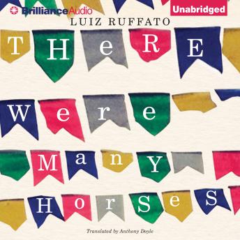 There Were Many Horses, Luiz Ruffato
