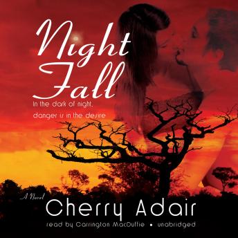 Download Night Fall: A Novel by Cherry Adair