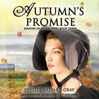 Autumn's Promise: Seasons of Sugarcreek, Book Three sample.