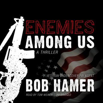 Enemies among Us: A Thriller, Bob Hamer