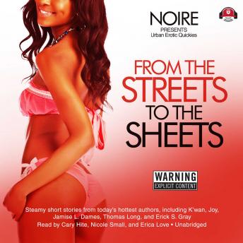 From the Streets to the Sheets: Urban Erotic Quickies