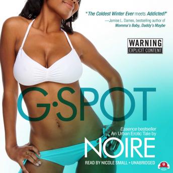 Download G-Spot: An Urban Erotic Tale by Noire