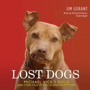 Download Lost Dogs: Michael Vick’s Dogs and Their Tale of Rescue and Redemption by Jim Gorant