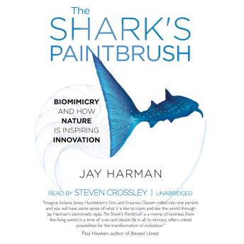 The Shark’s Paintbrush: Biomimicry and How Nature Is Inspiring Innovation