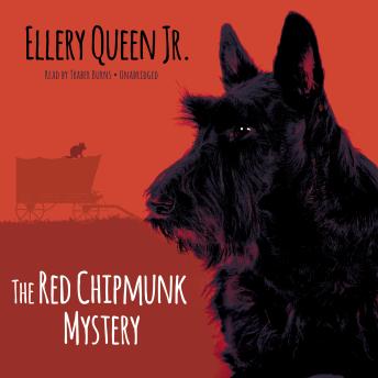 Red Chipmunk Mystery, Ellery Queen Jr.