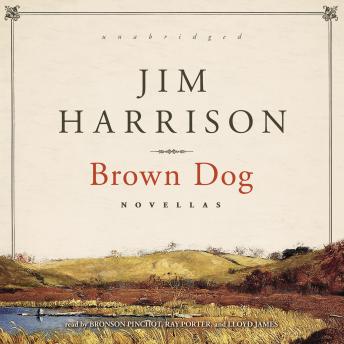 Brown Dog: Novellas, Audio book by Jim Harrison