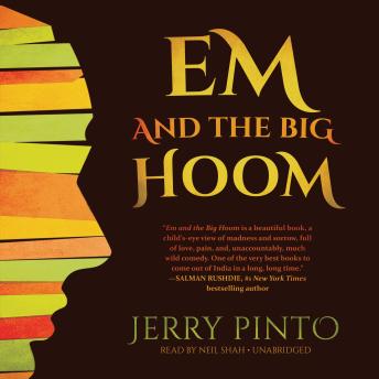 Em and The Big Hoom by Jerry Pinto