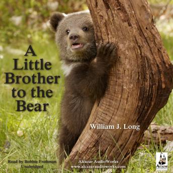 A Little Brother to the Bear, and Other Animal Stories