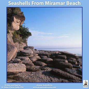 Seashells from Miramar Beach sample.