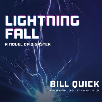 Lightning Fall: A Novel of Disaster