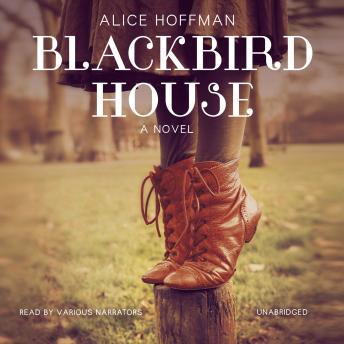 Blackbird House, Alice Hoffman