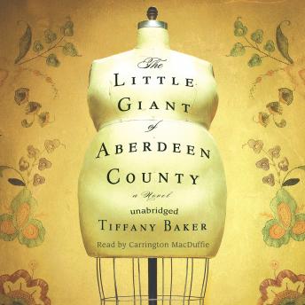 The Little Giant of Aberdeen County: A Novel