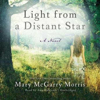 Light from a Distant Star: A Novel