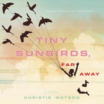 Tiny Sunbirds, Far Away: A Novel sample.