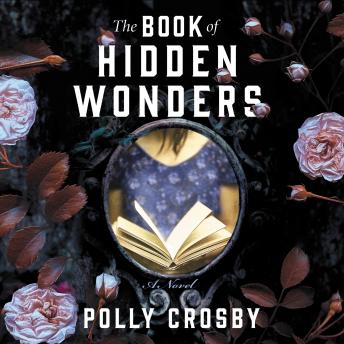 The Book of Hidden Wonders: A Novel