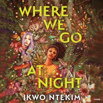 Where We Go at Night