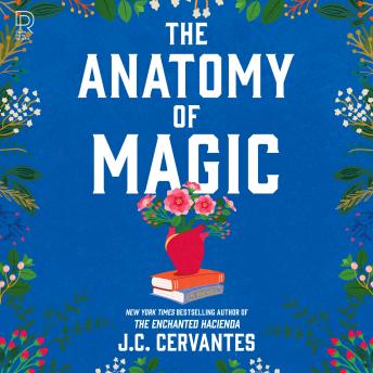 The Anatomy of Magic