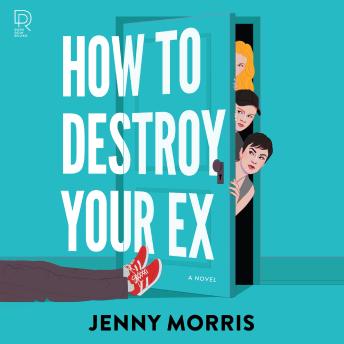 How to Destroy Your Ex: A Novel
