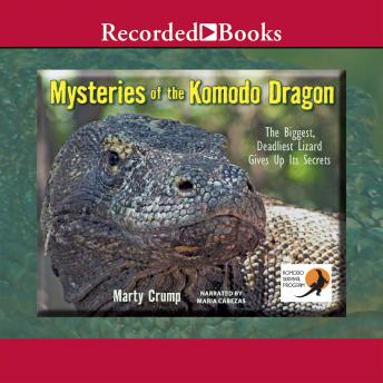 Mysteries of the Komodo Dragon: The Biggest, Deadliest Lizard Gives Up Its Secrets