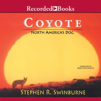 Coyote: North America's Dog