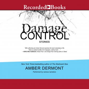 Damage Control: Stories
