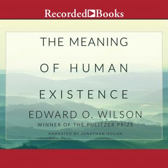 The Meaning of Human Existence