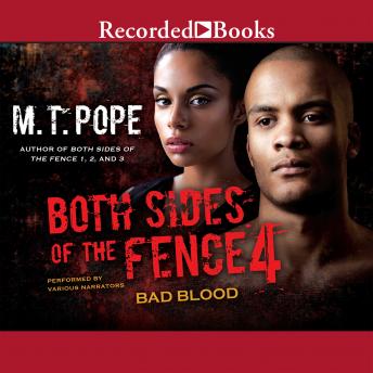 Both Sides of the Fence 4: Bad Blood