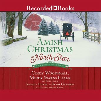 Amish Christmas at North Star: Four Stories of Love and Family