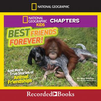 National Geographic Kids Chapters: Best Friends Forever: And More True Stories of Animal Friendships