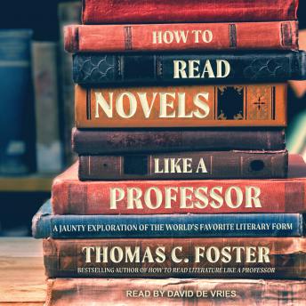 How to Read Novels Like a Professor: A Jaunty Exploration of the World's Favorite Literary Form sample.