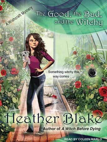The Good, the Bad, and the Witchy: A Wishcraft Mystery