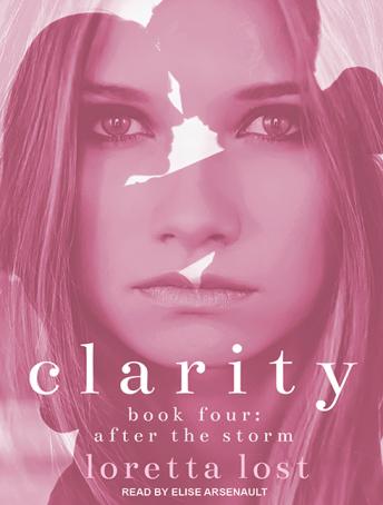 Clarity Book Four: After The Storm