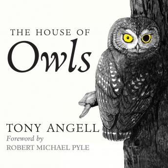House of Owls, Tony Angell