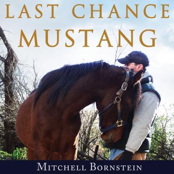 Last Chance Mustang: The Story of One Horse, One Horseman, and One Final Shot at Redemption