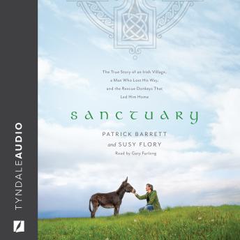 Sanctuary: The True Story of an Irish Village, a Man Who Lost His Way, and the Rescue Donkeys That Led Him Home details