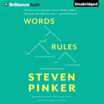 Words and Rules, Steven Pinker
