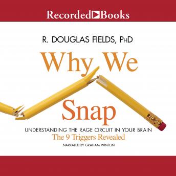 Why We Snap: Understanding the Rage Circuit in Your Brain