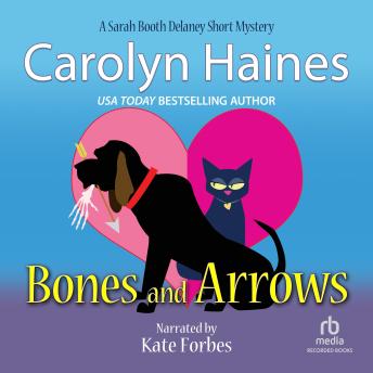 Bones and Arrows, Carolyn Haines