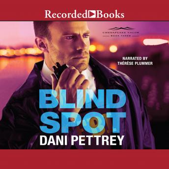 Blind Spot, Dani Pettrey