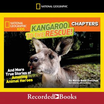 National Geographic Kids Chapters: Kangaroo to the Rescue!: And More True Stories of Amazing Animal Heroes sample.