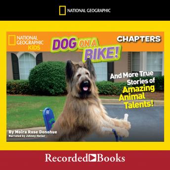 National Geographic Kids Chapters: Dog on a Bike: And More True Stories of Amazing Animal Talents! sample.