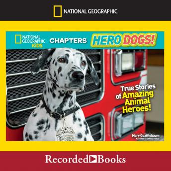 National Geographic Kids Chapters: Hero Dogs: True Stories of Amazing Animal Heroes!