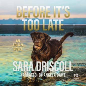 Download Before It's Too Late by Sara Driscoll