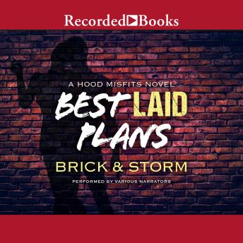 Best Laid Plans, Storm , Brick 