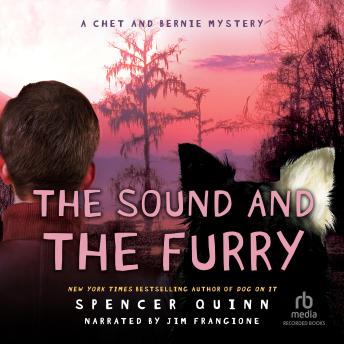 Sound and the Furry sample.